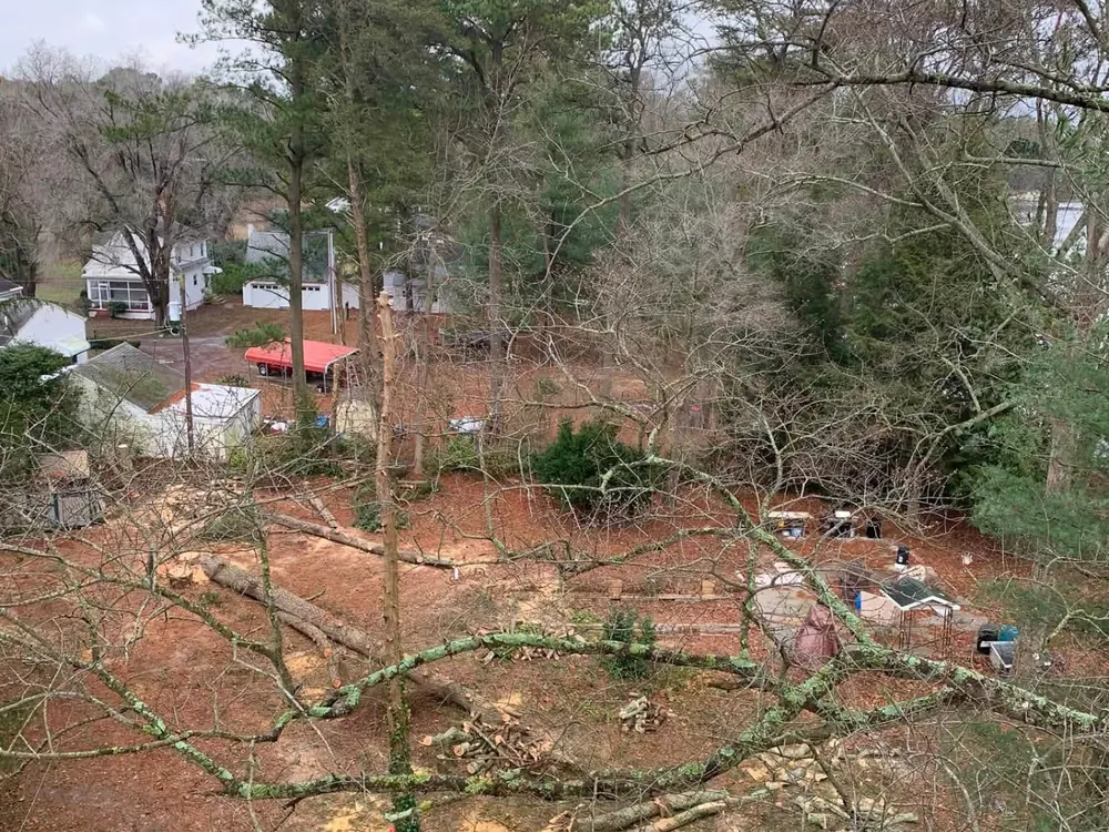 Aerial view of a cleared yard with felled trees ready for removal