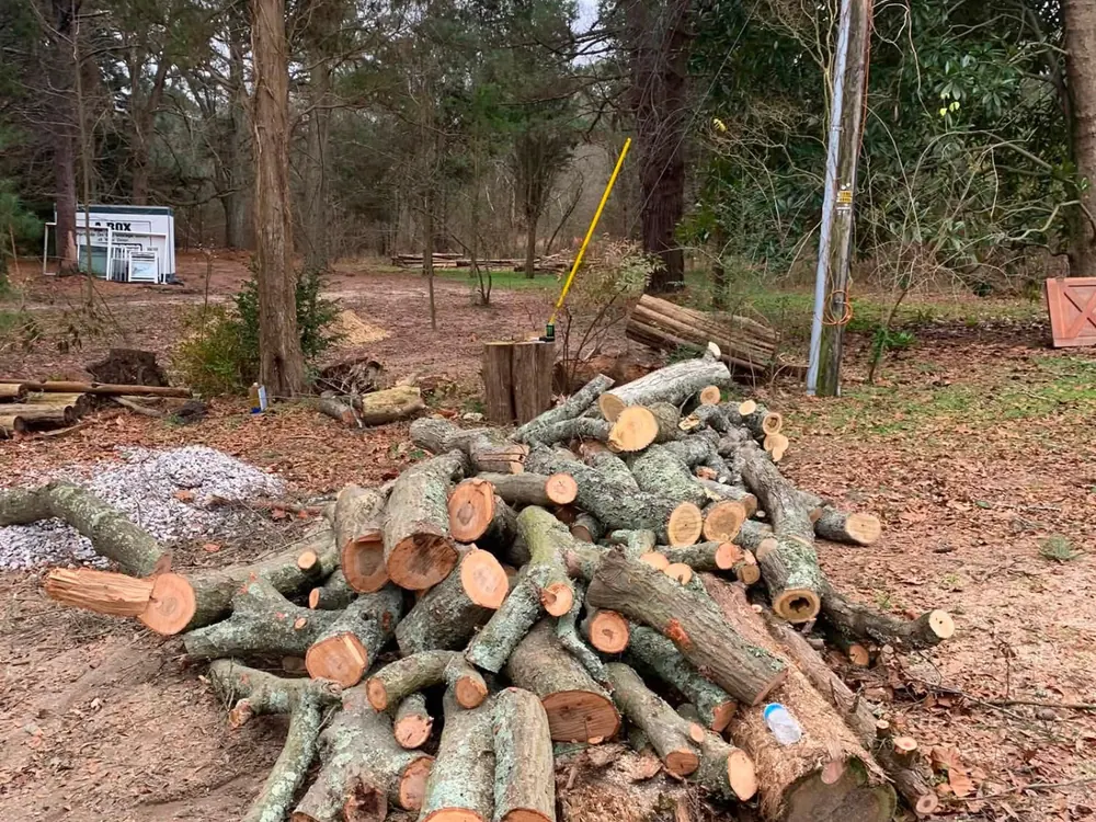 Stacked logs after a completed Arcade Tree Service removal job
