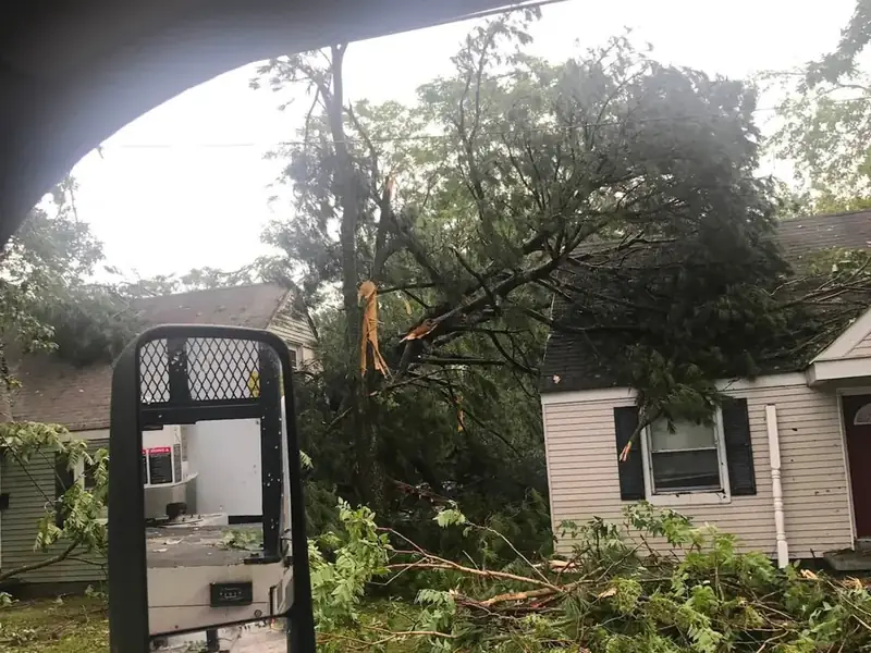 Storm-damaged tree fallen across a home being cleared